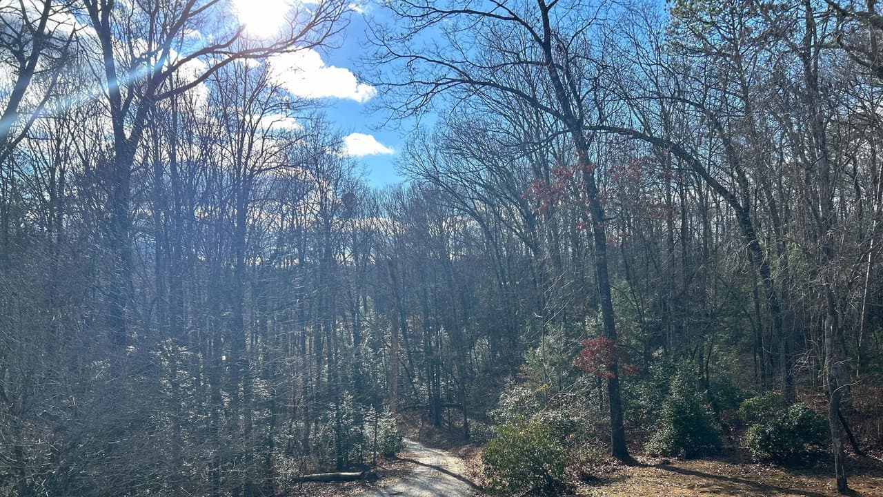 Clausible Deniability