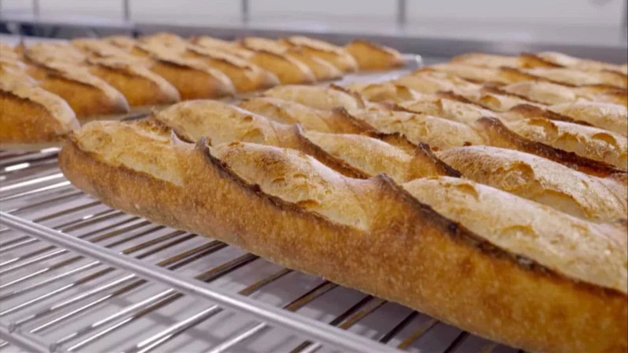 Du pain coûte que croûte