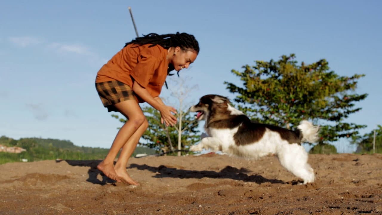 Beethoven's Symphony