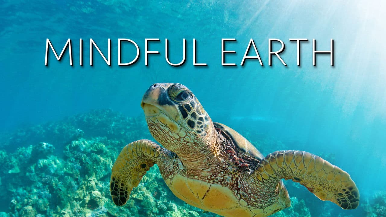 Mindful Earth