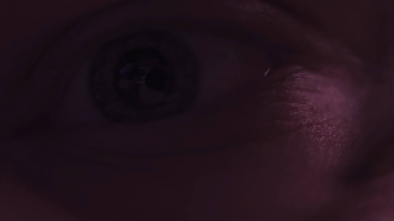 collection de divers courts et essais