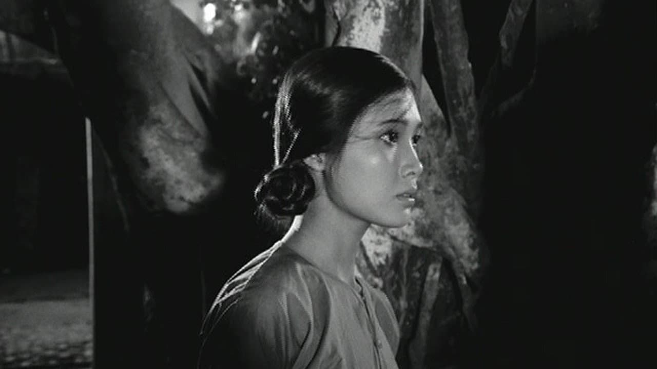 When the Tenth Month Comes