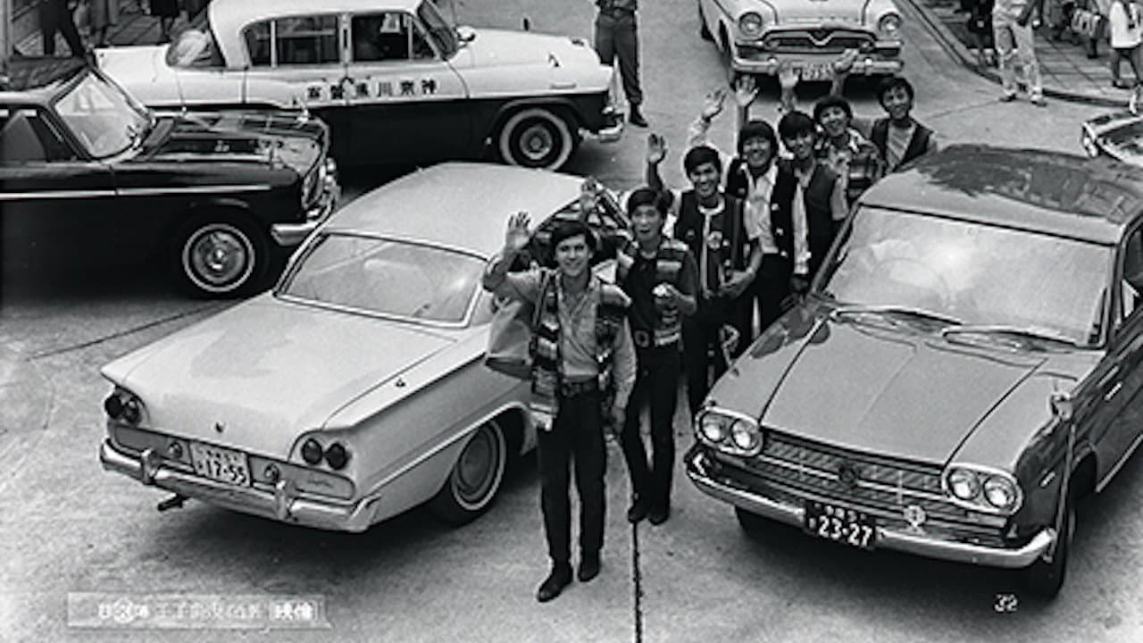 The Spiders: The Reckless Operation