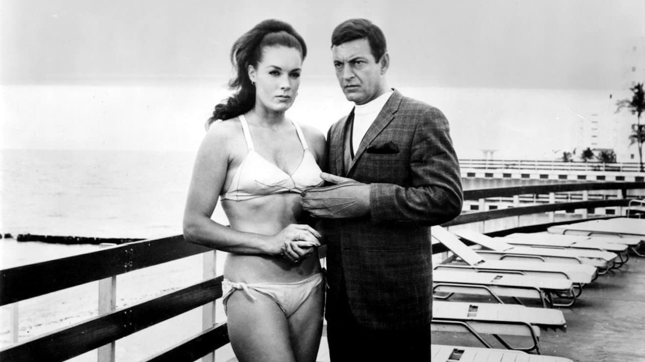 Danger...! Women in Action