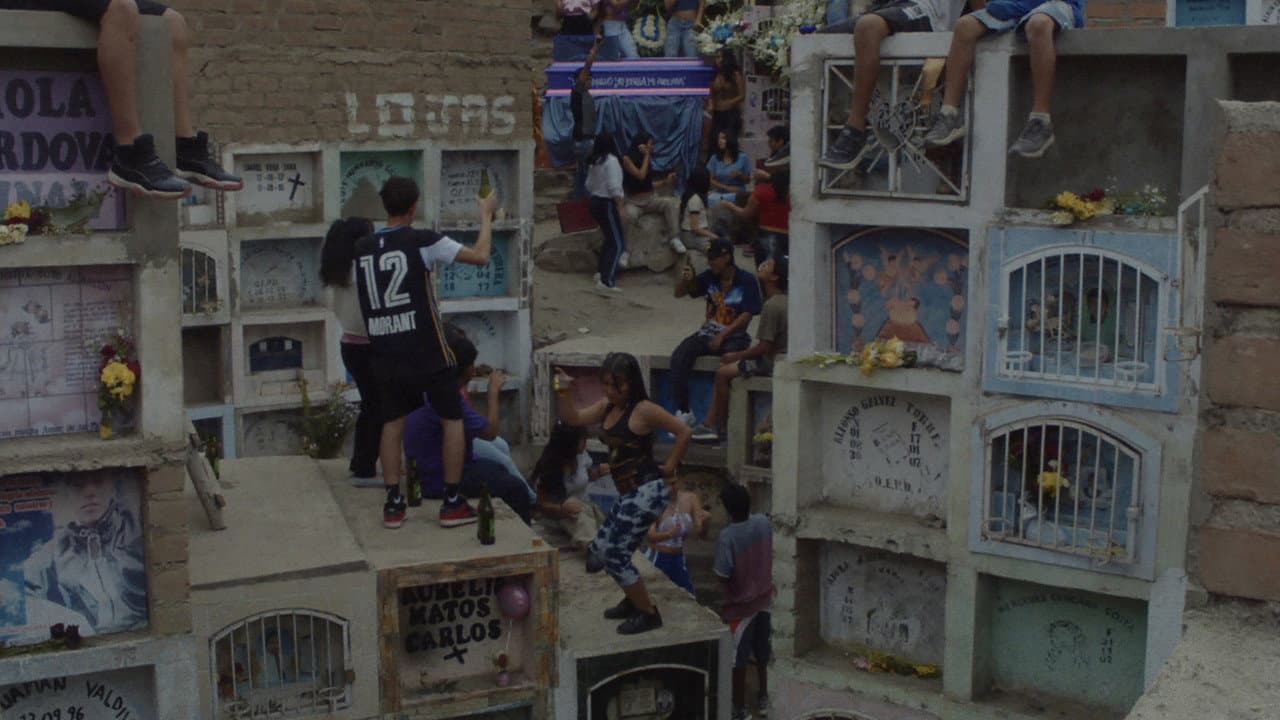 Nobody Knows the World