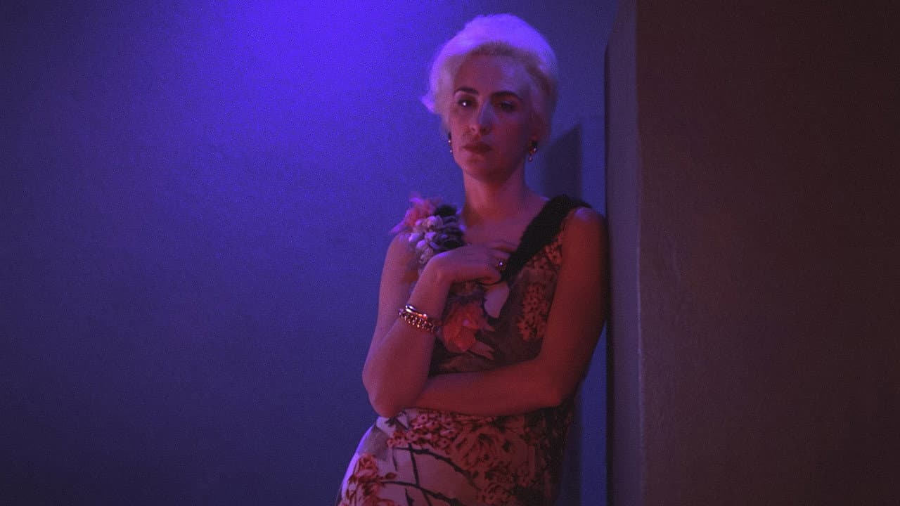 In the Darkness of the Night