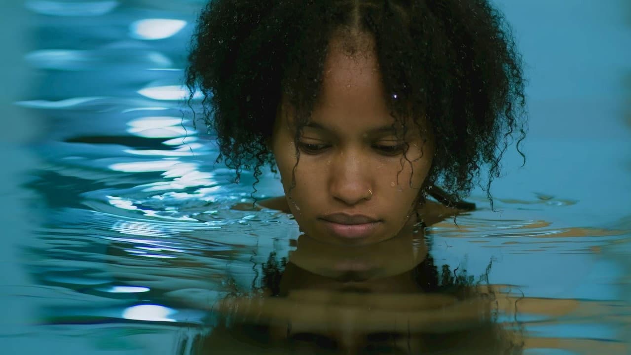 Freedom – Shewit's Destiny