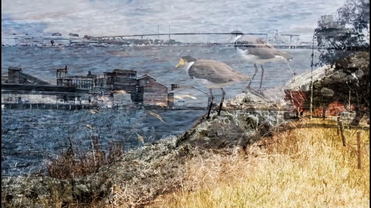 occupation studies: ngayanhurra bayarral Birrarung