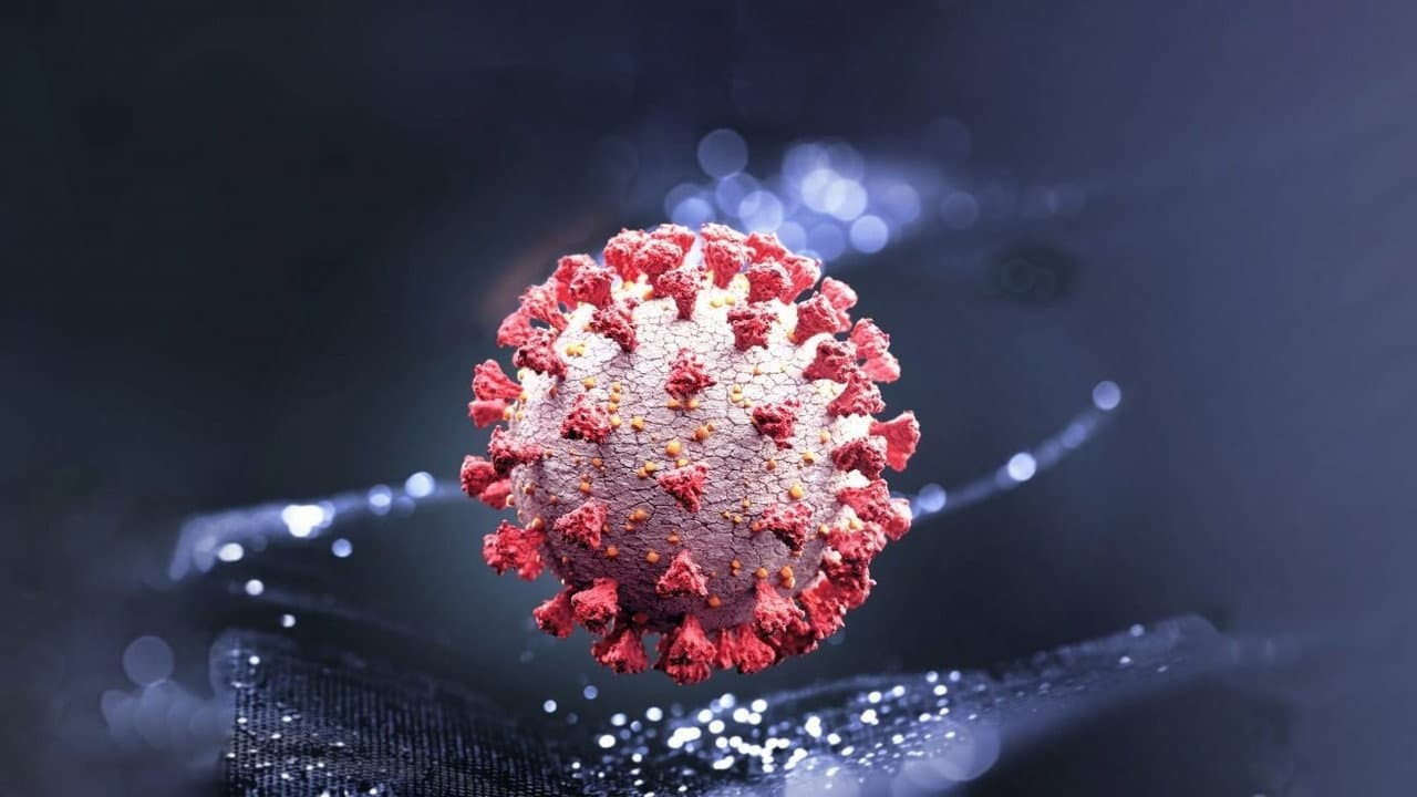 Covid 19: The World in Danger