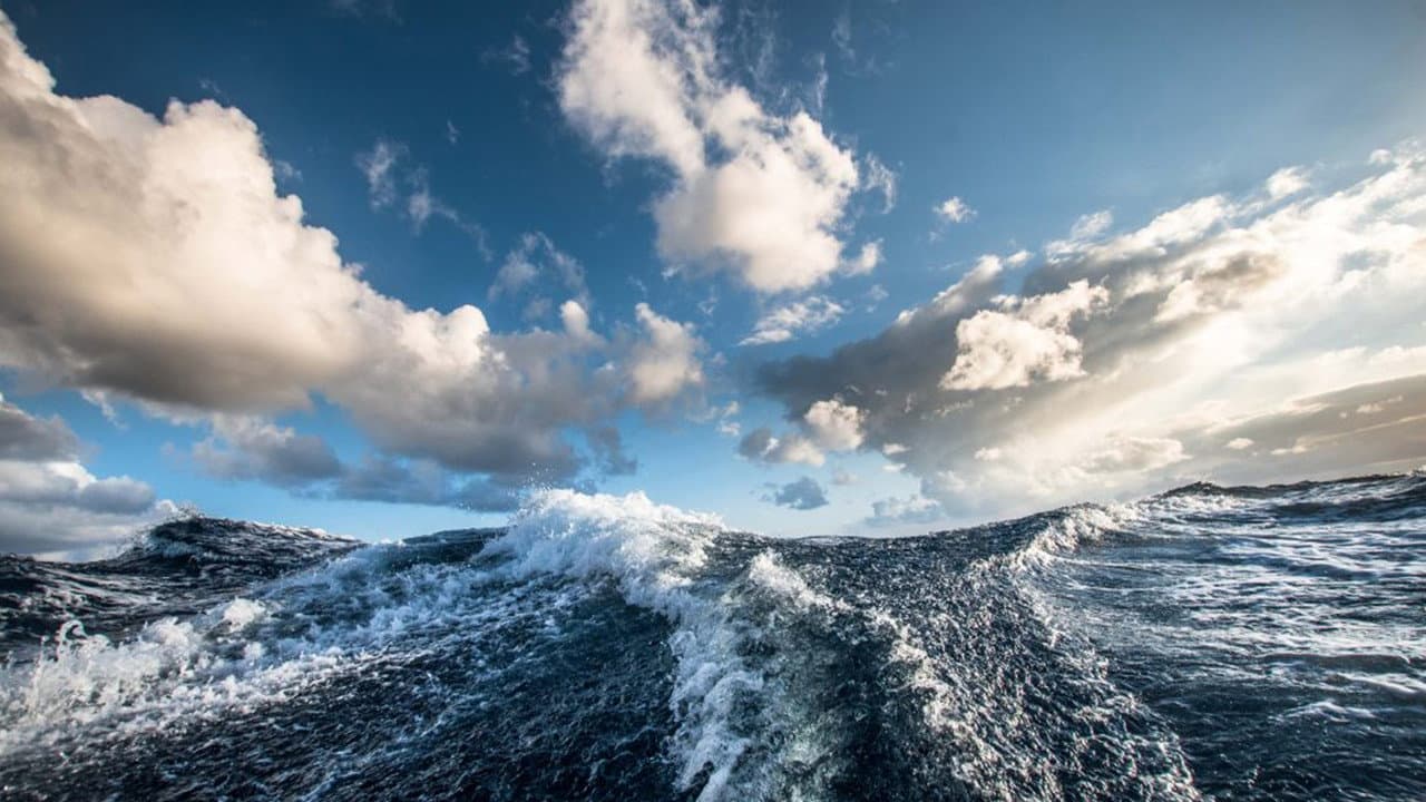 Surviving the Middle