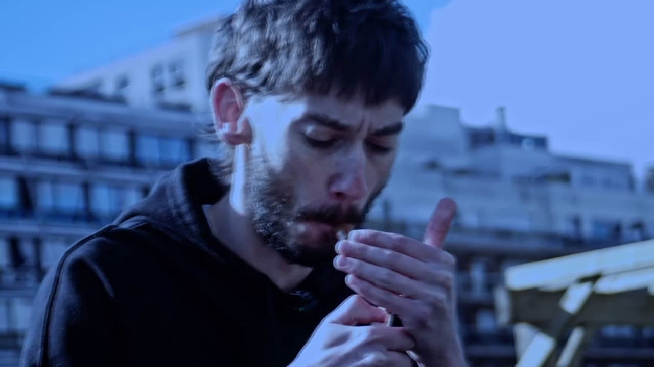 Birdemic Macron Terror : Le Documentaire "Bigger Than Life"