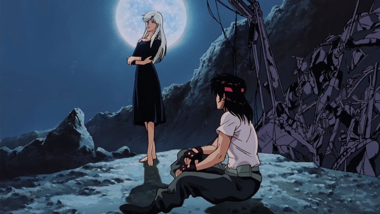 A Wind Named Amnesia