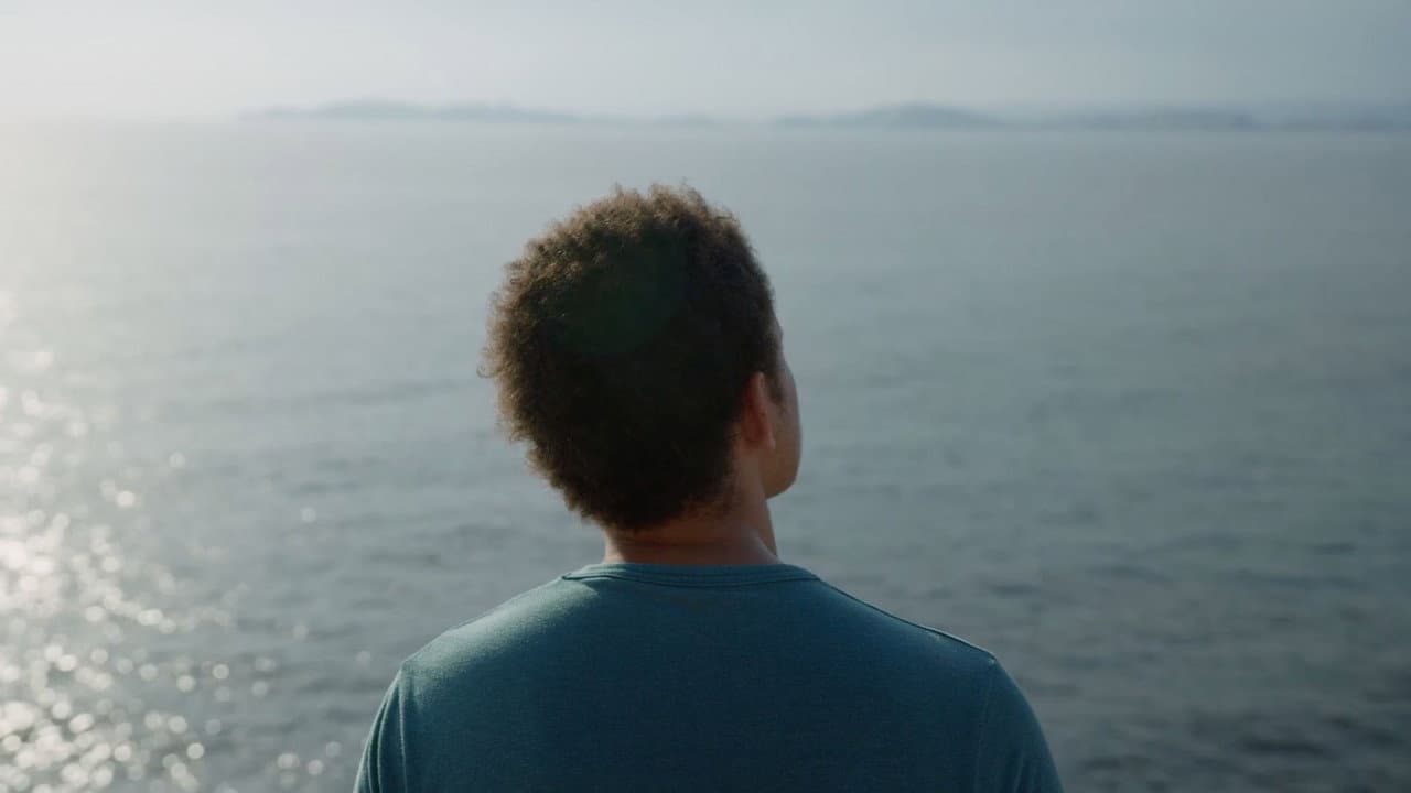 Il A Suffi D'Une Nuit