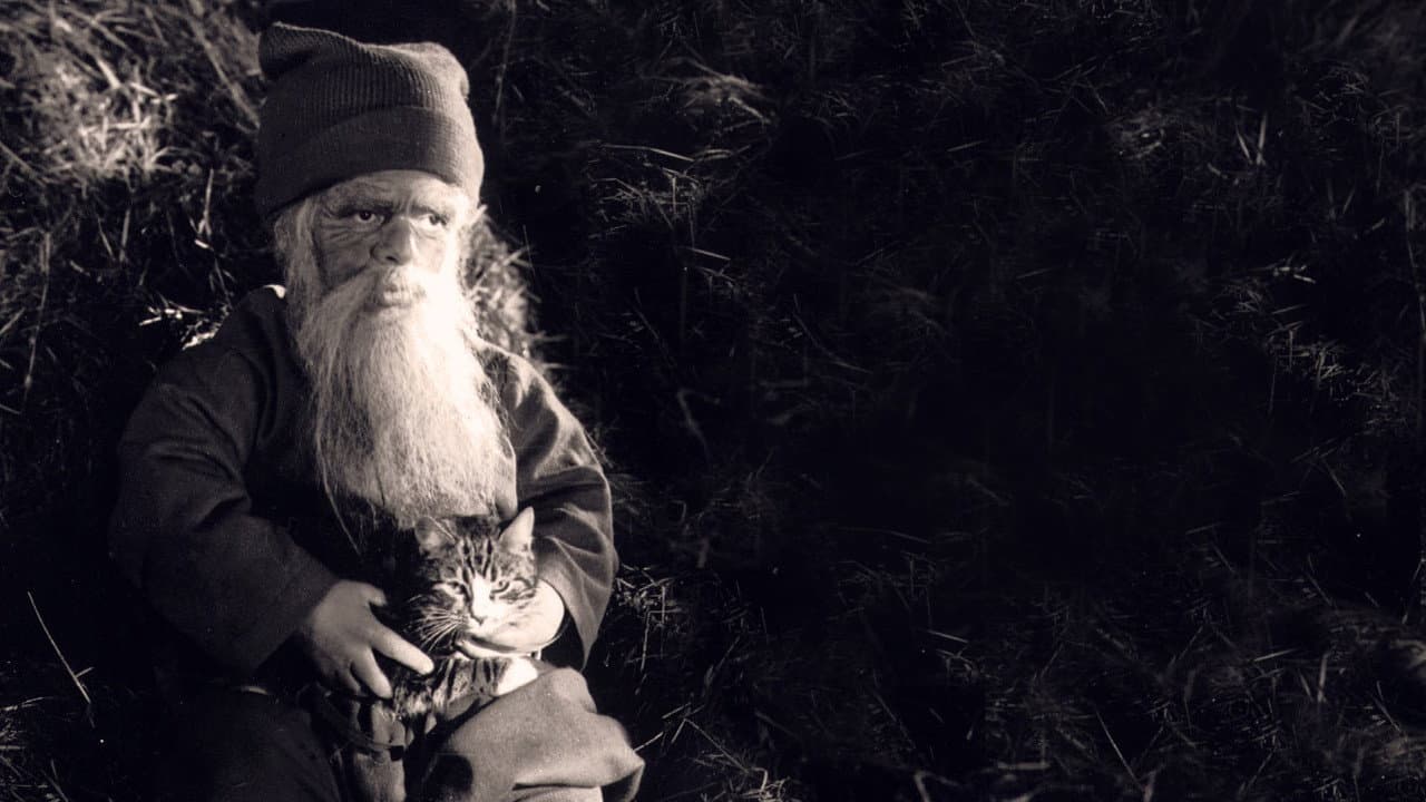 Tomten: A Winter Tale