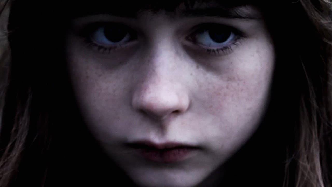 Pigeons Should Fly Freely In the Sky