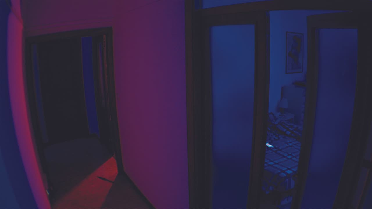 All'ordine della notte