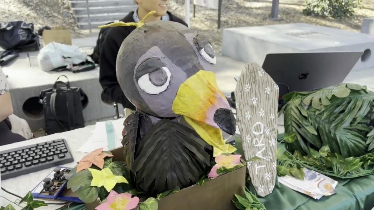 Making Taro Talk: A Documentary