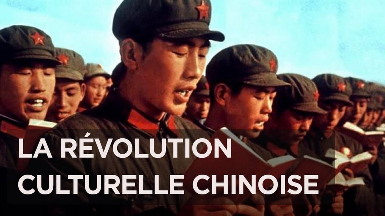 Ma révolution culturelle
