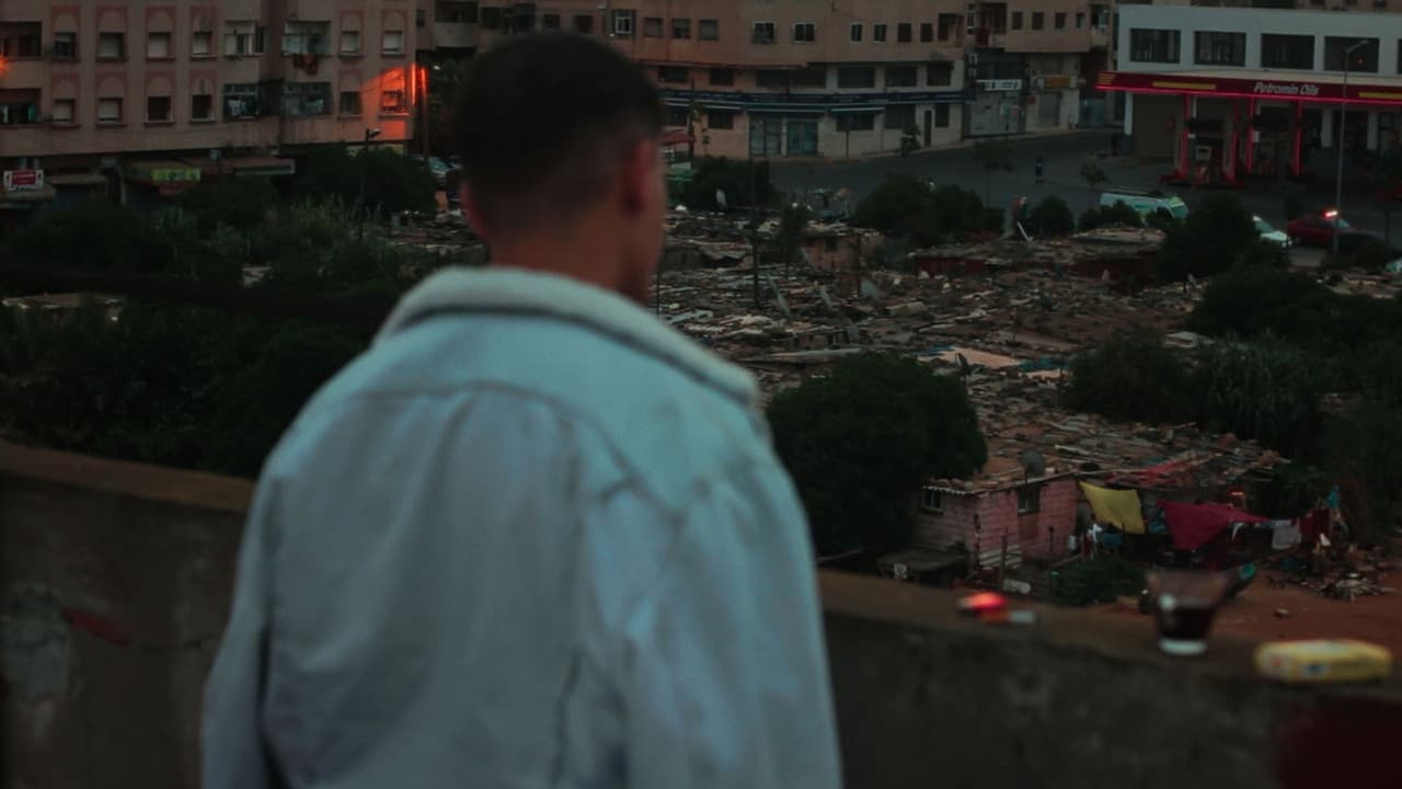 The cat is not saved