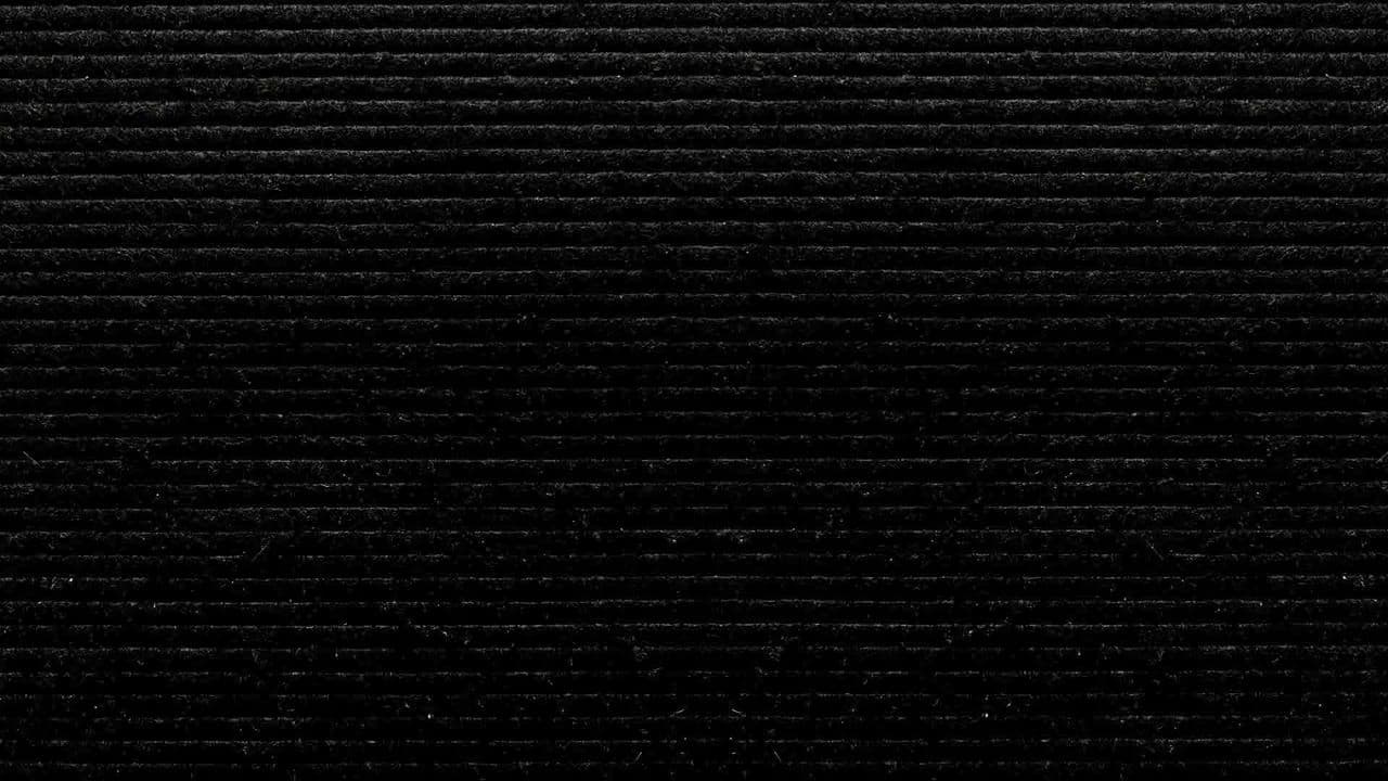 Celebrity Substitute