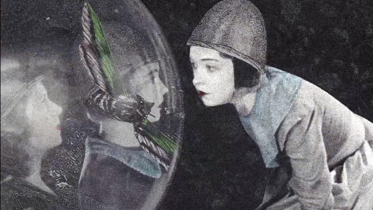 The Stars Watch From Long Ago