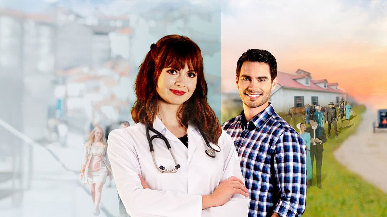 Plus One at an Amish Wedding