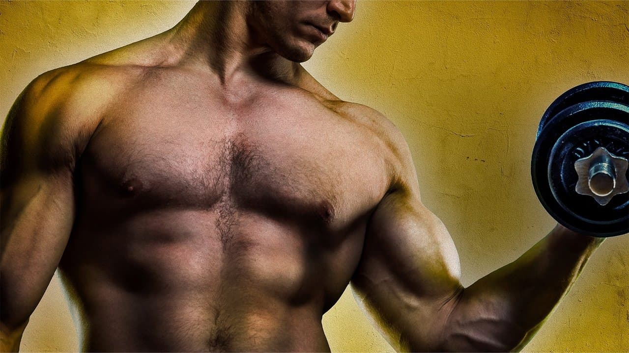 Confessions of a Steroid Gang