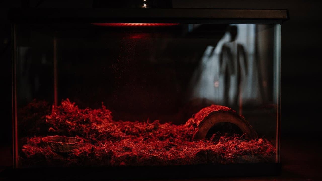 Morning Deliveries (Milkman #1)