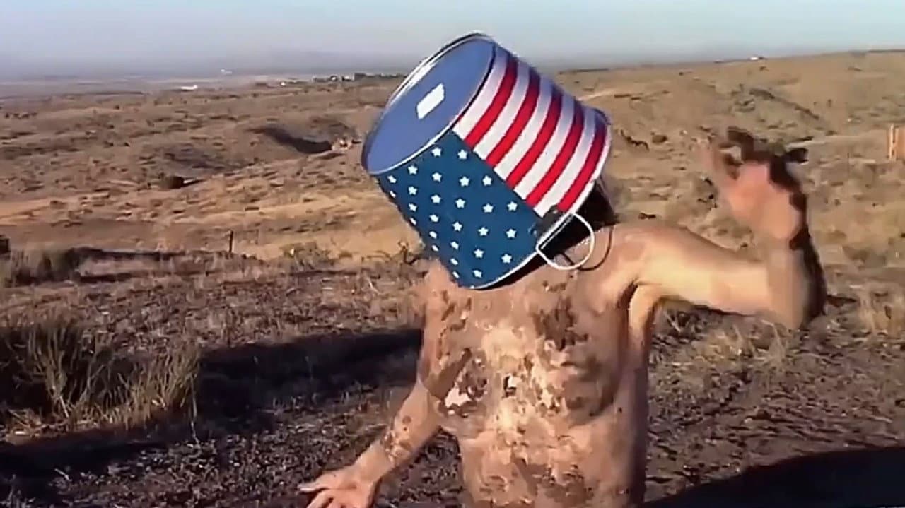 The Great American Mud Wrestle