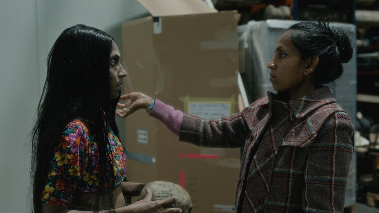 Elephants & Squirrels