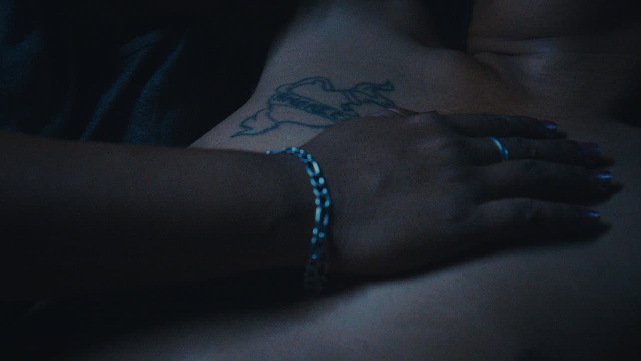 Someday the night will come