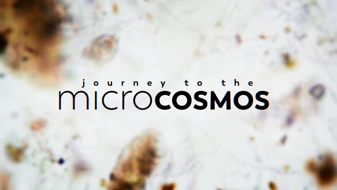 Journey to the Microcosmos