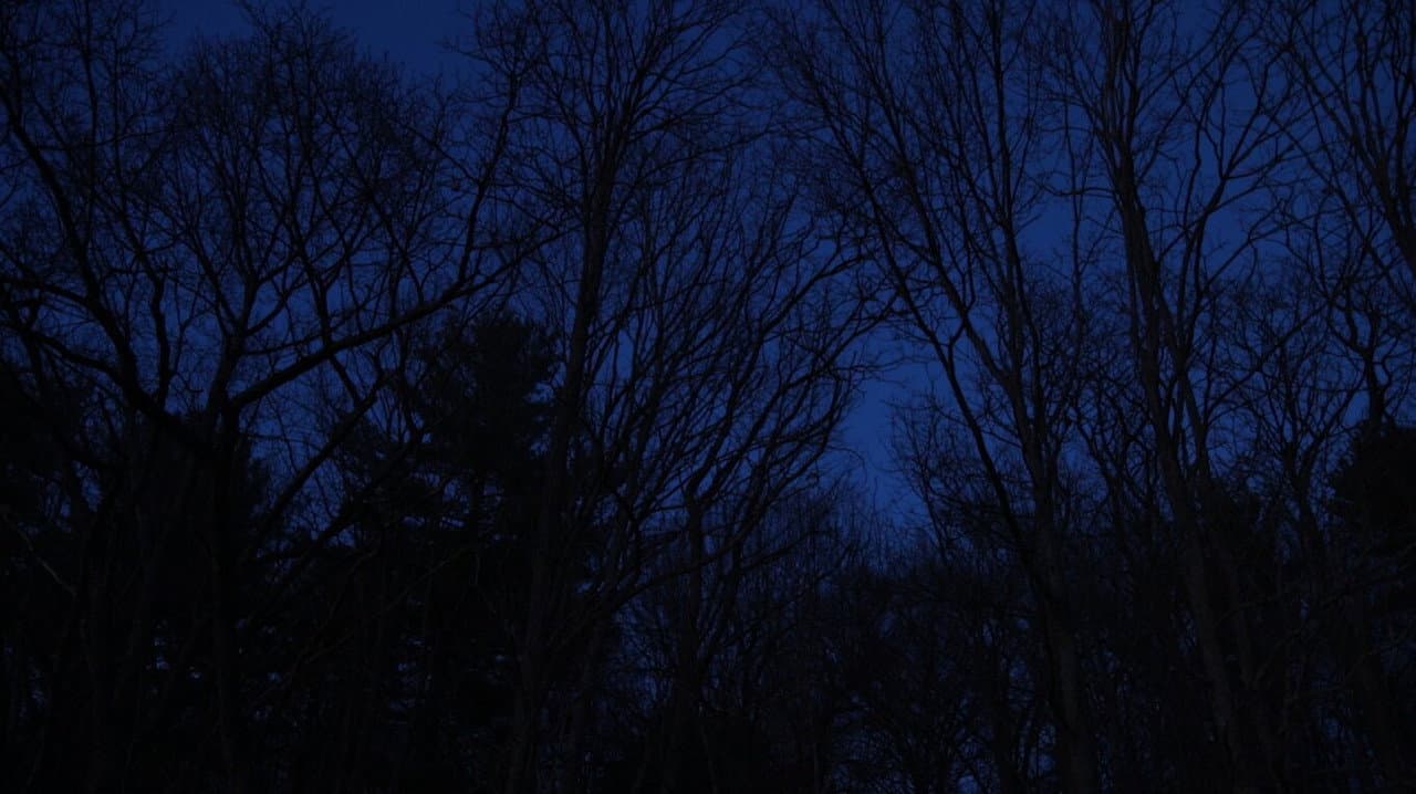 Hollow Walker of the Lake