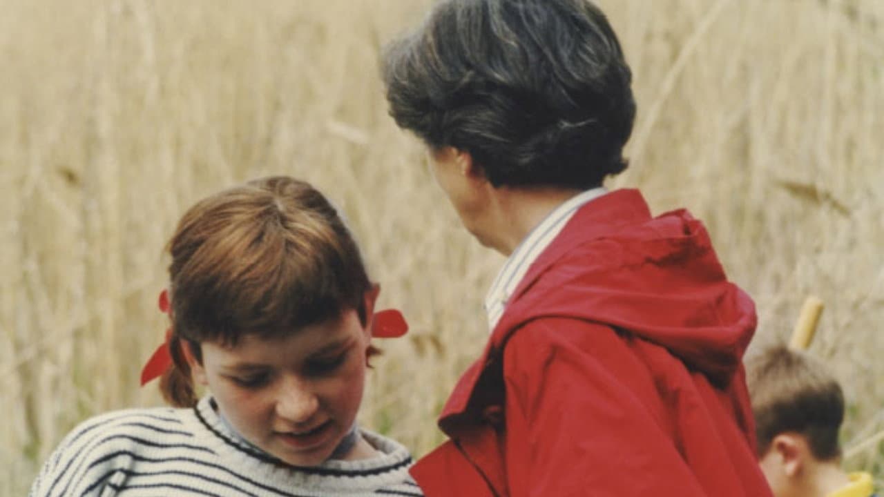 Blue Sky White Clouds