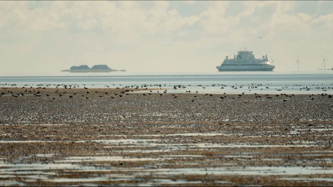 Föhr - 5 Meter über Null