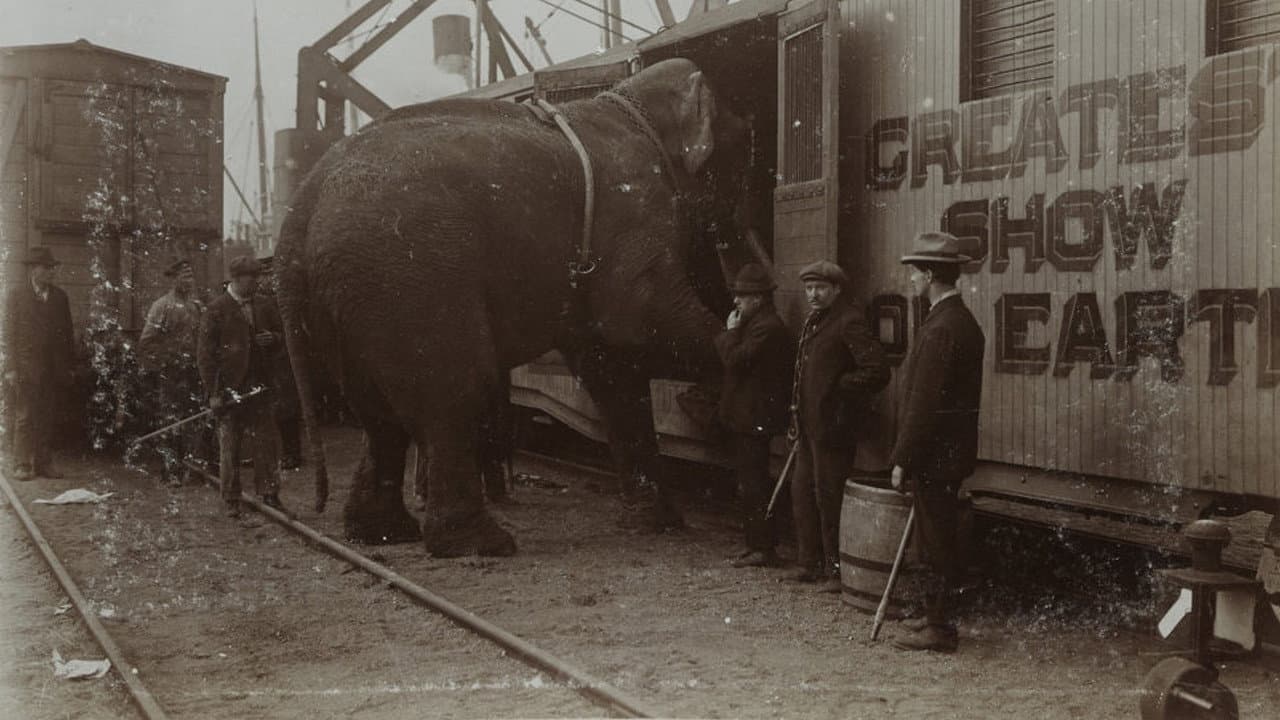 The Tragic Story of Fritz the Elephant