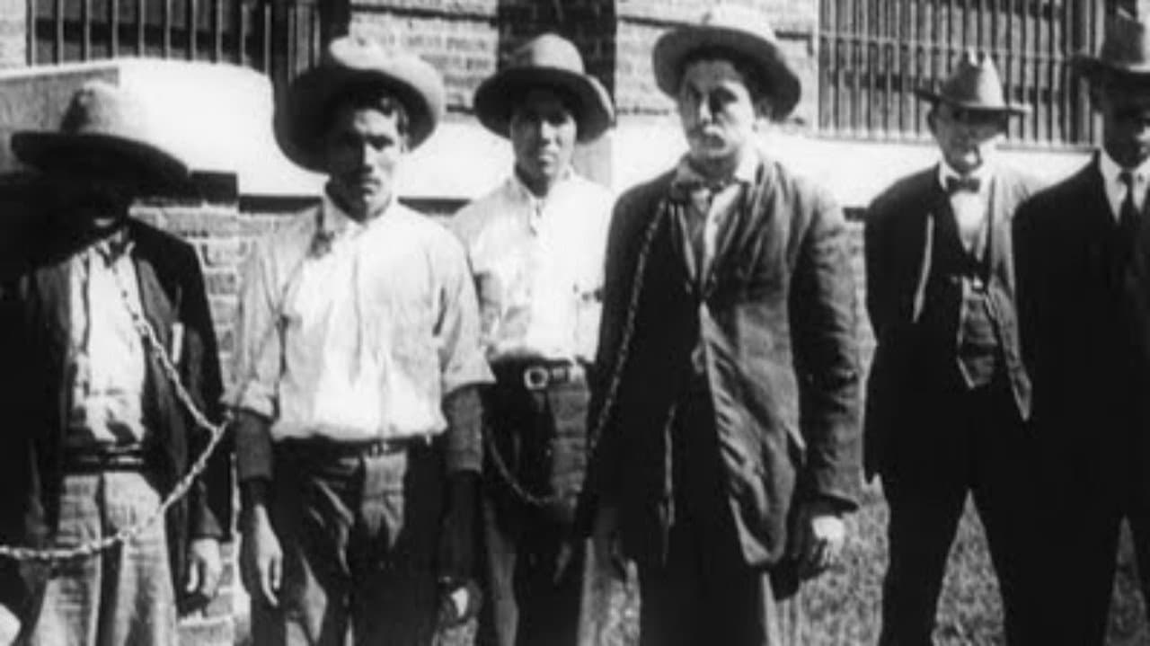 Ammunition Smuggling on the Mexican Border