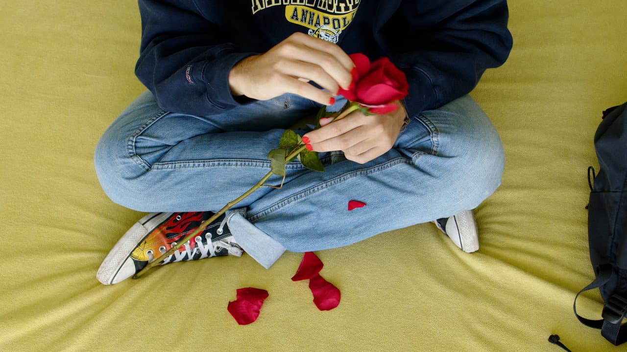 He Loves Me, He Loves Me Not