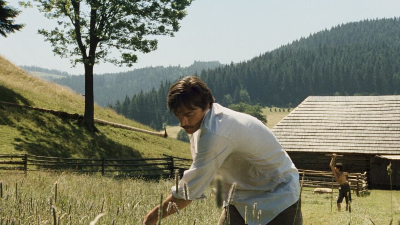 Shadows of a Hot Summer