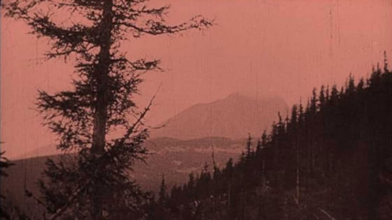 The Mysterious Castles in the Carpathians