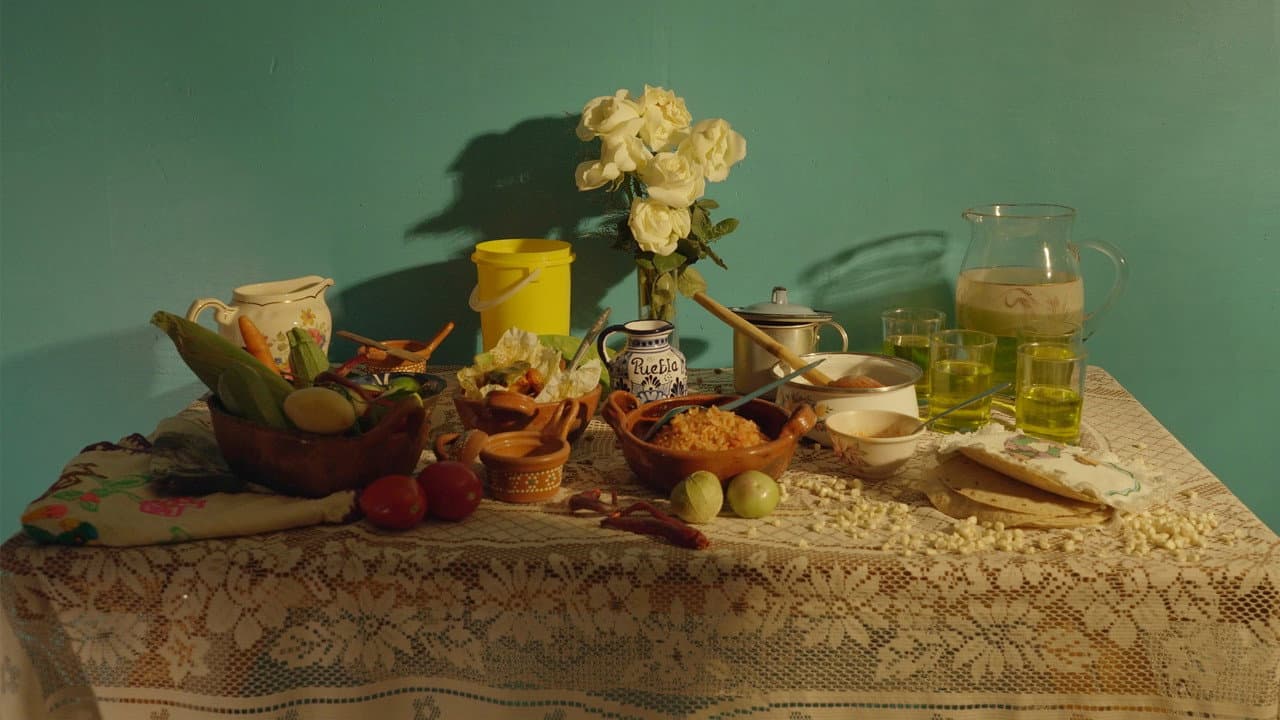 The warmth of the kitchen