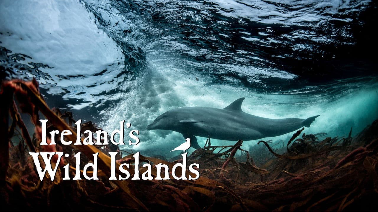 Ireland's Wild Islands