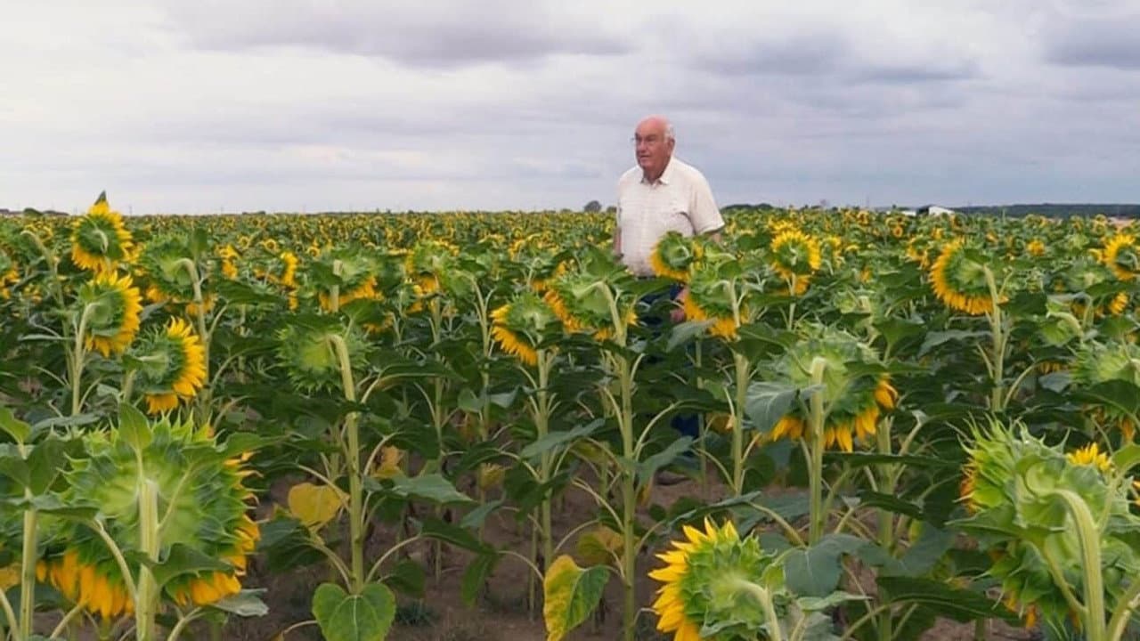 Beau comme un tracteur