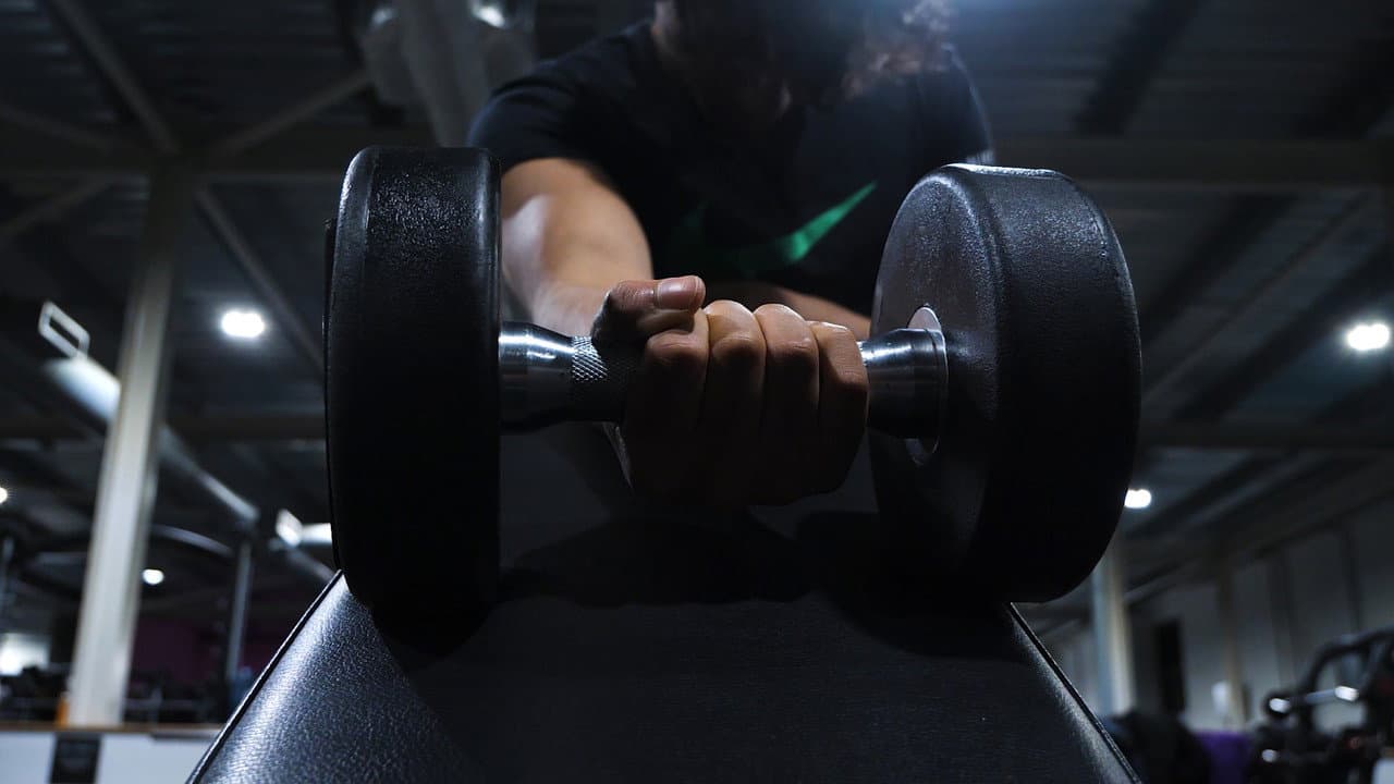 The Anthology of the Night