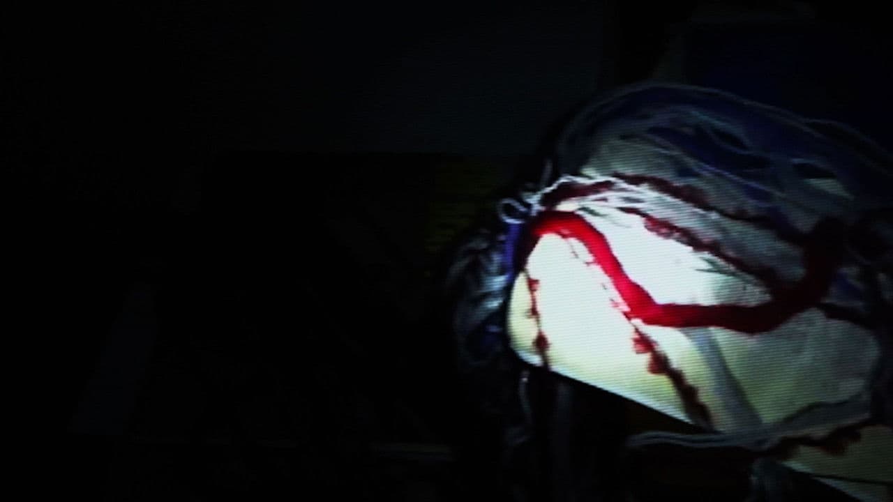 The Mystery of Morgellons