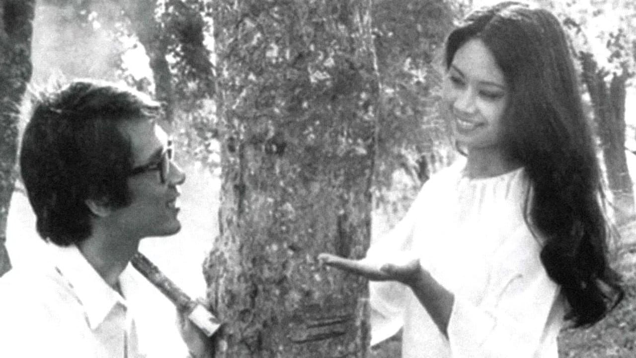 The Town Within Reach