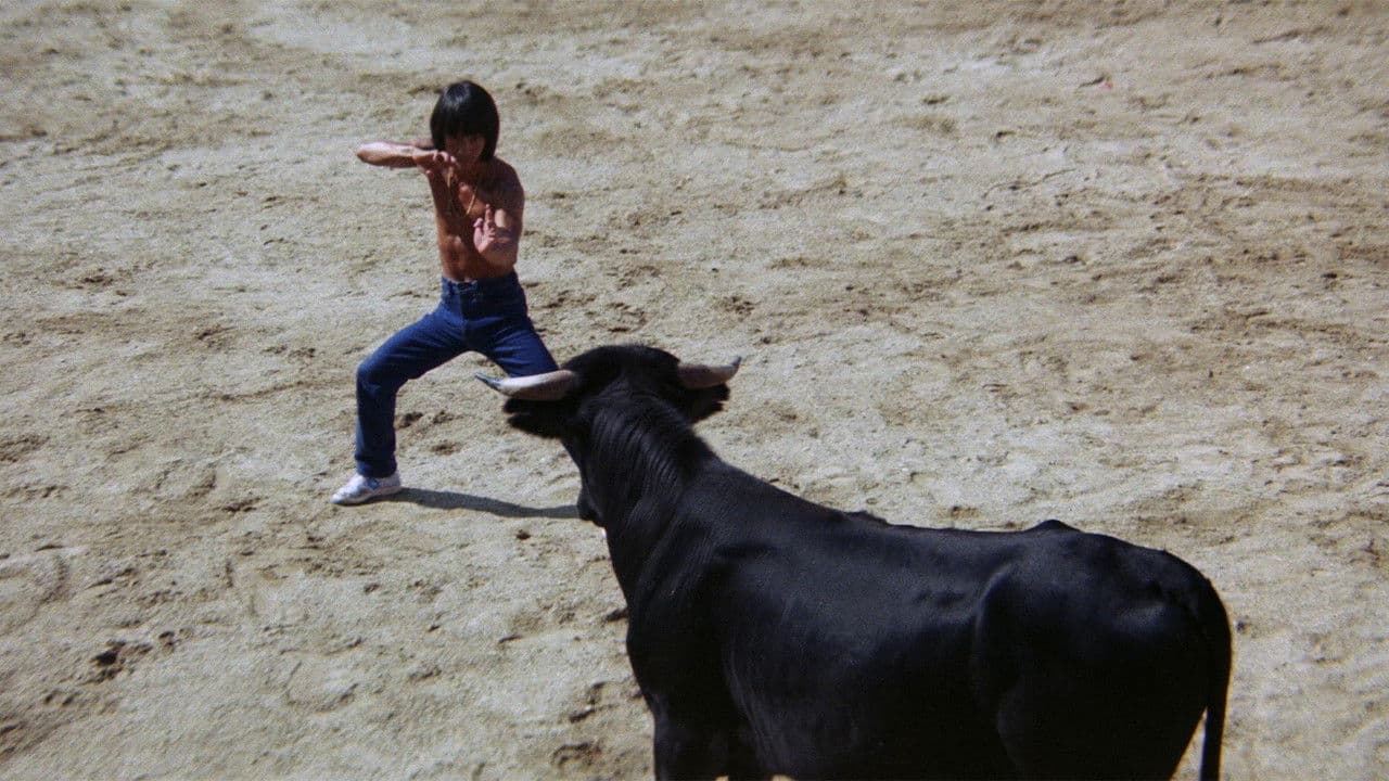 Challenge of the Tiger