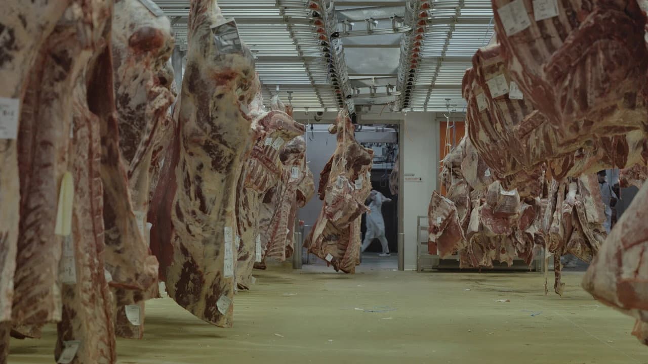The Blood Quarter