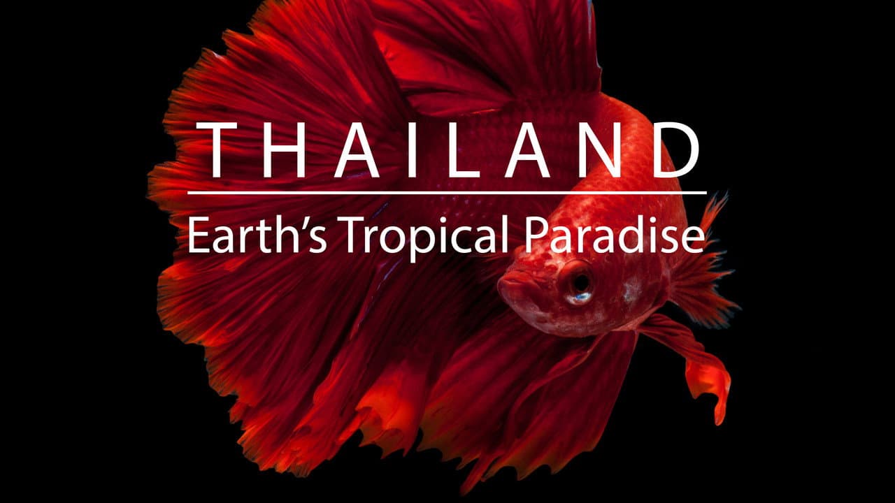 Thailand: Earth's Tropical Paradise