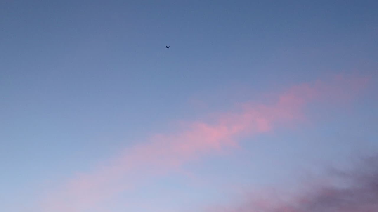 Pink Skies